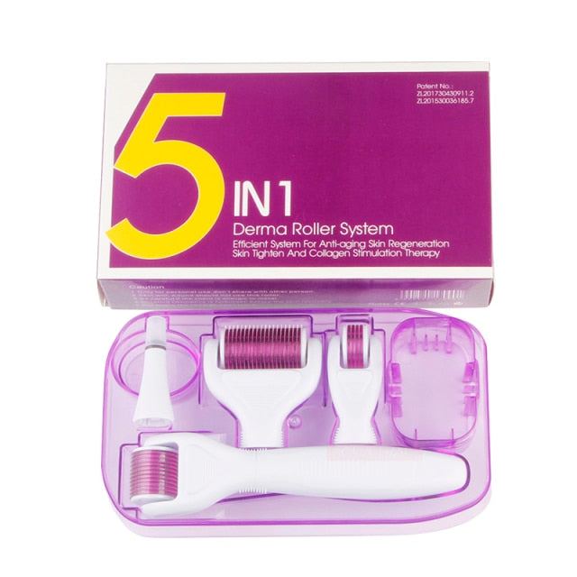 DRS 6 in 1 Dermaroller Micro Needle Face Derma Roller Set