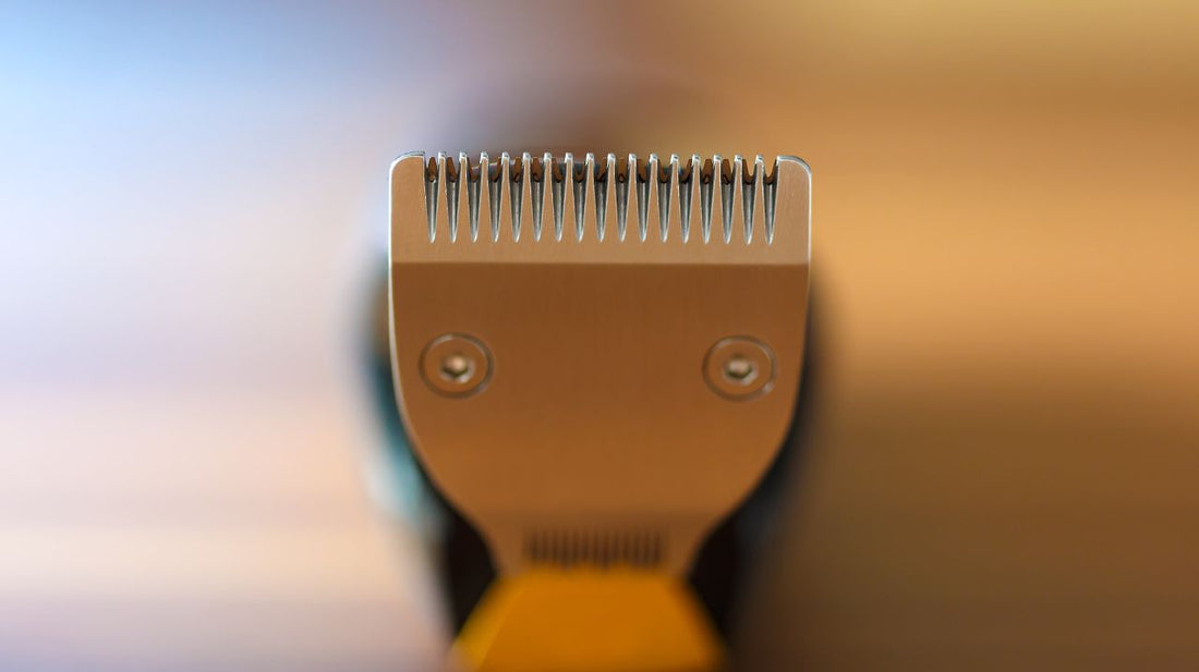 How To Trim A Beard - Should You Use Scissors Or A Beard Trimmer?