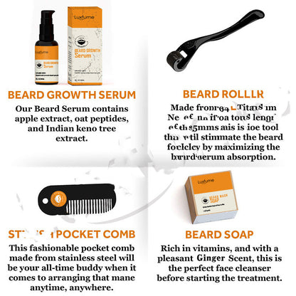 Beard Set Box Beard Essence Cleaning Care