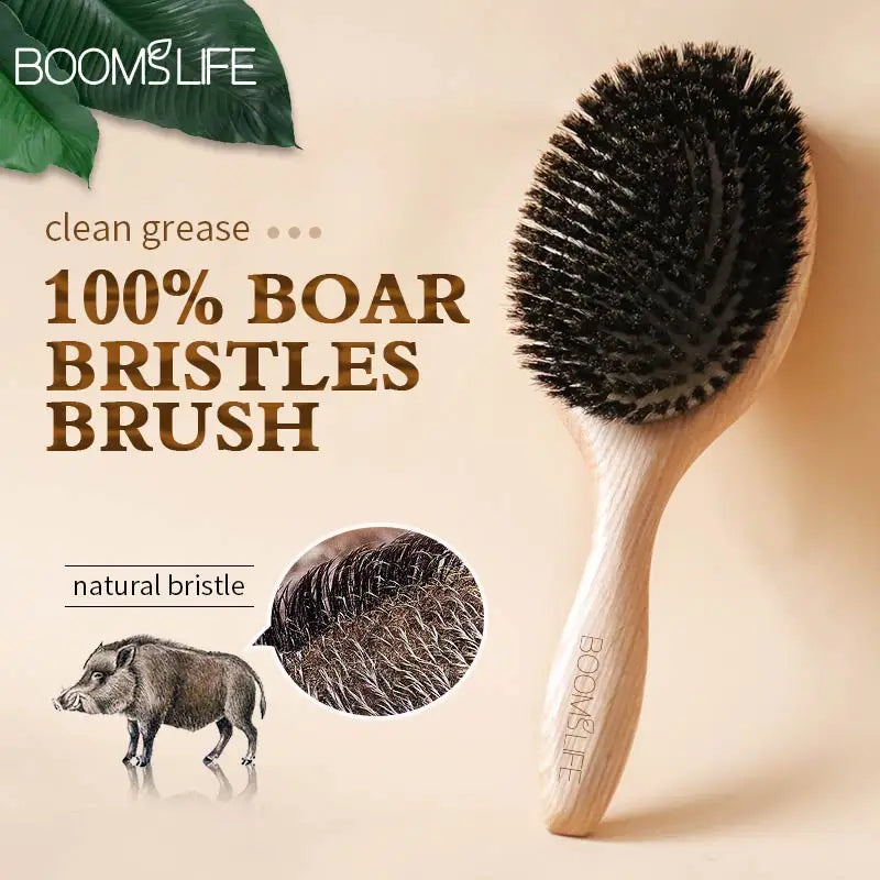 Boar Bristle Brush Wood Combs Scalp Massage