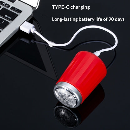 Portable Electric Shaver