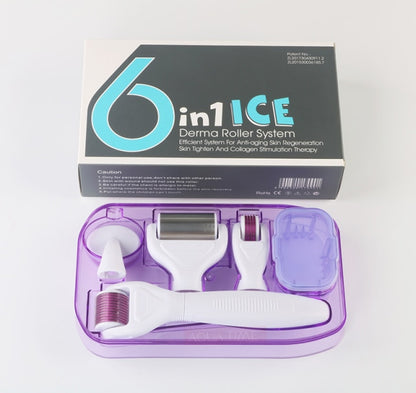 DRS 6 in 1 Dermaroller Micro Needle Face Derma Roller Set